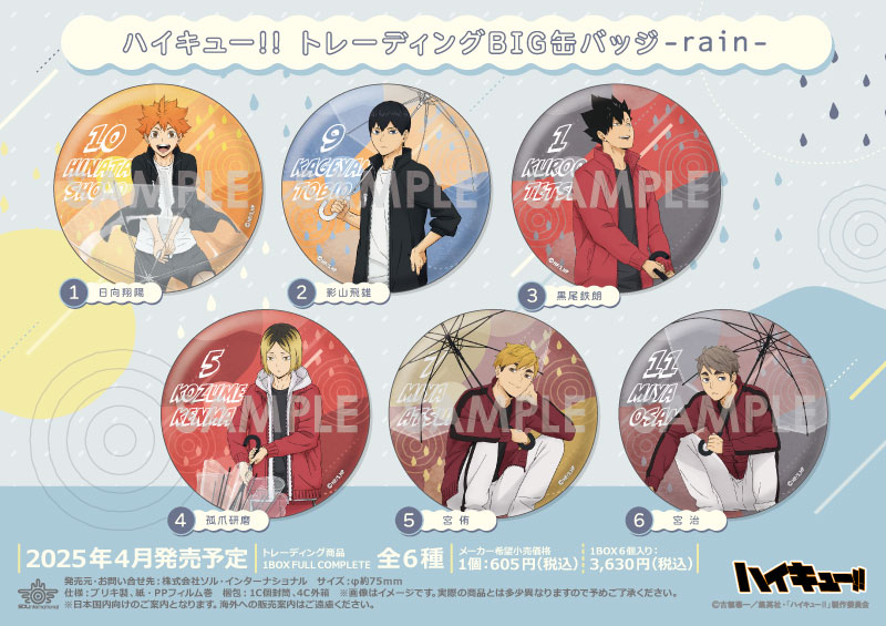 ハイキュー!! トレーディングBIG缶バッジ-rain-		
