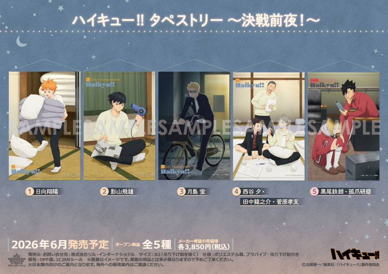 ハイキュー!! タペストリー ～決戦前夜！～