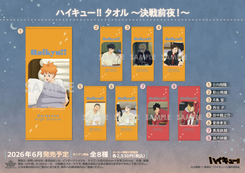 ハイキュー!! タオル ～決戦前夜！～